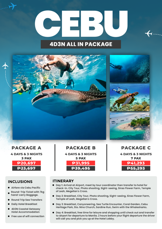 CEBU PACKAGE
